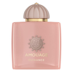 Guidance EDP
