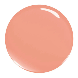 Le Rouge Francais - Liquid foundation 861 Miltassia