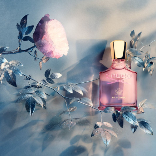 Creed - Eladaria EDP