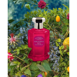 Lorenzo Villoresi - Teti EDP