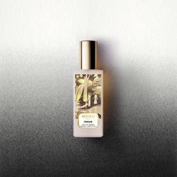 Memo - Graines Vagabondes: Ithaque EDP