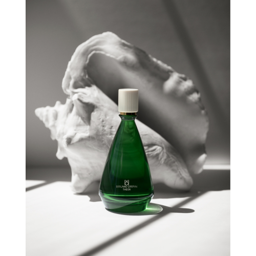 Brume Orpin - Theor EDP