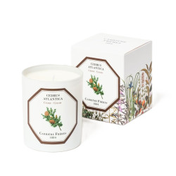 Carrière Frères - Cedar Candle 185g
