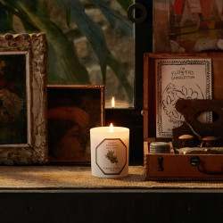 Carrière Frères - Cedar Candle 185g
