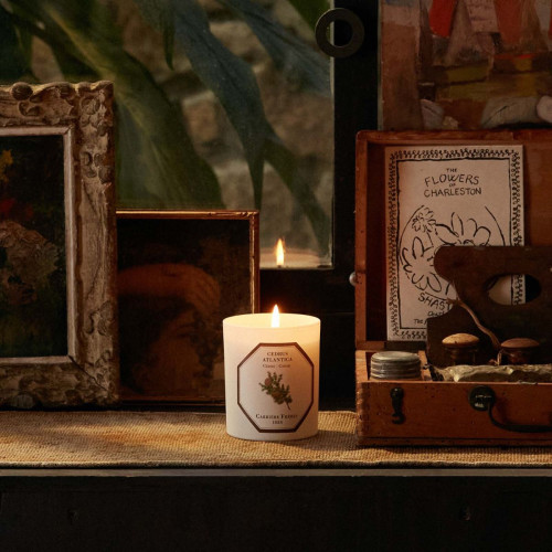Carrière Frères - Cedar Candle 185g